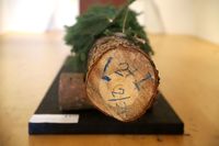 Lýkožrout smrkový - pohroma lesa, Národní zemědělské muzeum Ohrada